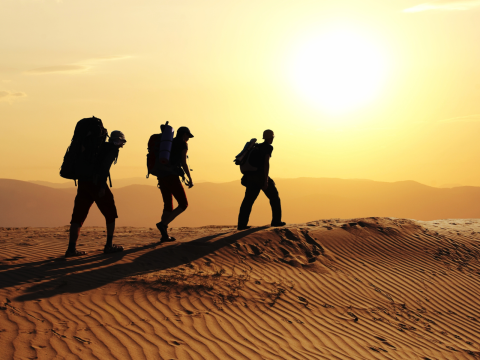 Leadership and Decision-Making Under Crisis Conditions