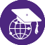 Icon worldvalue