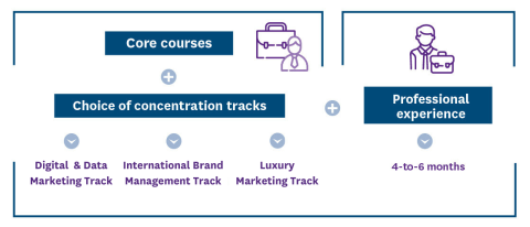 schema msc marketing